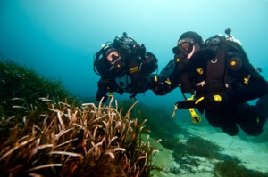 Rebreather diving at Surrey Dive Centre with the Dive Academy will open up a whole new world for you. Start Now and glide effortlessly and bubble-free for hours!